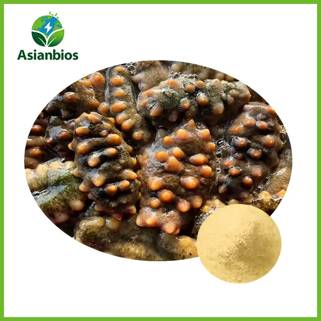 Sea Cucumber Extract Powder